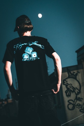 ICE DICE 71 back